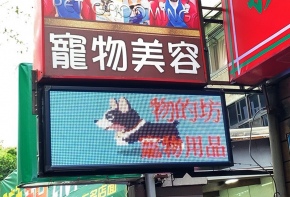 彩虹光電 P10 全彩字幕機 LED跑馬燈 LED字幕機 高解析字幕機 字幕機 電視牆